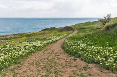 Karadeniz deniz manzarası Odessa 'ya yakın, Ukrayna