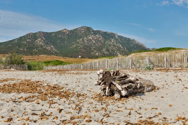 Capo di FeNO Beach nära Ajaccio, Korsika, Frankrike. — Stockfoto