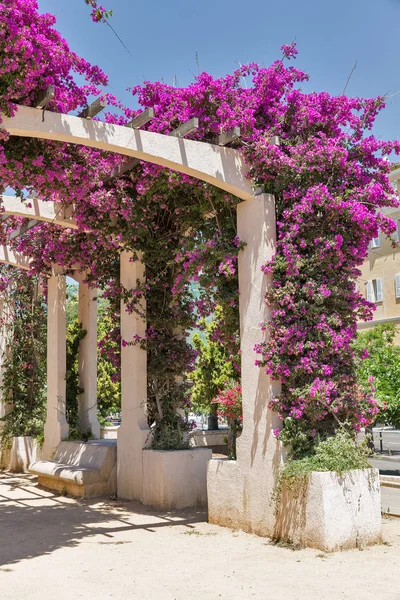 De gaulle platz in ajaccio, insel korsika, frankreich. — Stockfoto