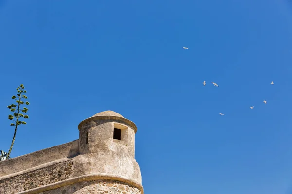 Fästningen MIOLLIS och Flock av Seagulls i Ajaccio, Korsika, Frankrike. — Stockfoto