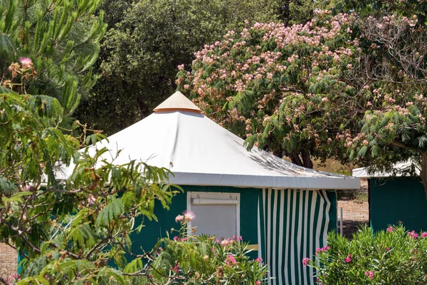 Campinghäuser mit albizia julibrissin bäumen auf der insel korsika, frankreich. — Stockfoto