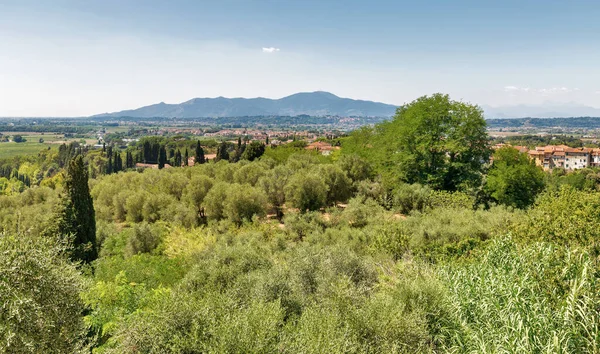 Vista desde la colina de Montopoli. Toscana, Italia . —  Fotos de Stock