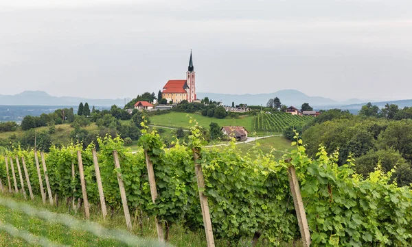 Iglesia Kreuzkapelle Wissberg Región Vinícola Rinehessen Renania Palatinado  Alemania: fotografía de stock © PantherMediaSeller #340317582 |  Depositphotos