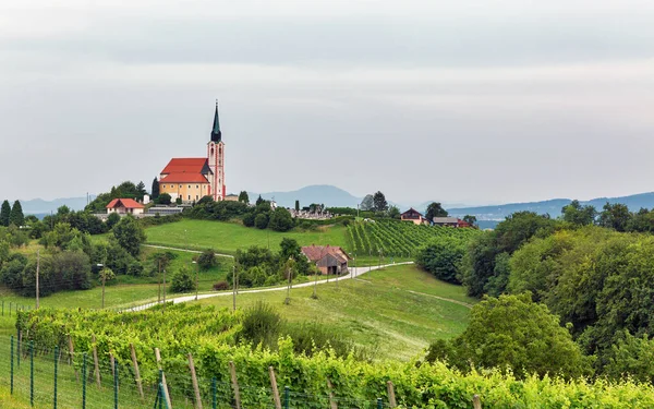 Sommerlandschaft mit Kirche St. Peter in der Nähe von Maribor, Slowenien. — Stockfoto