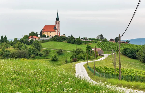 Letní krajina s kostelem sv. Petra u Mariboru, Slovinsko. — Stock fotografie