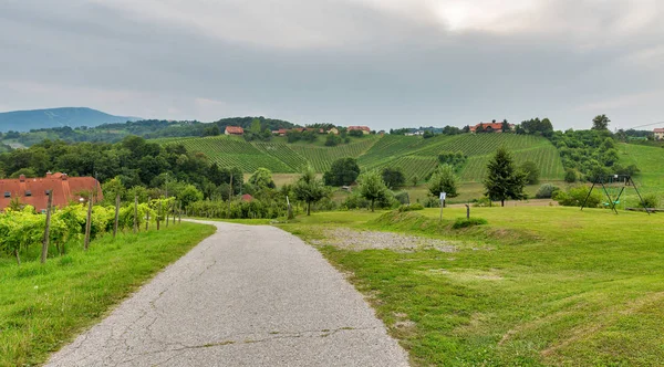 Nyári szlovén táj közelében Maribor, Szlovénia. — Stock Fotó