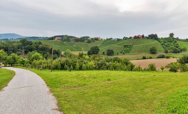 Letni słoweński krajobraz w pobliżu Mariboru, Słowenia. — Zdjęcie stockowe
