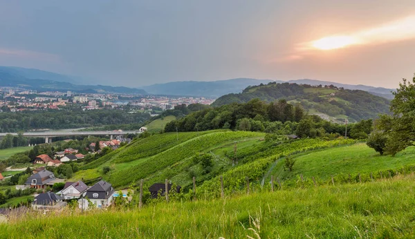 Krajobraz letni z miejskim krajobrazem Maribor, Słowenia. — Zdjęcie stockowe