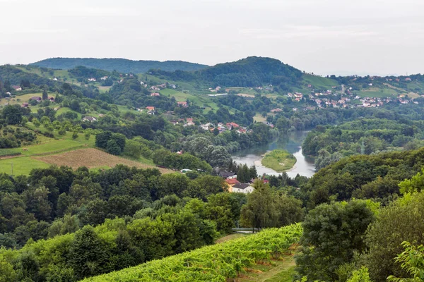 Letní krajina s řekou Dravou, Slovinsko. — Stock fotografie