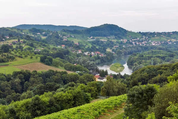 Paisagem de verão com Rio Drava, Eslovênia . — Fotografia de Stock