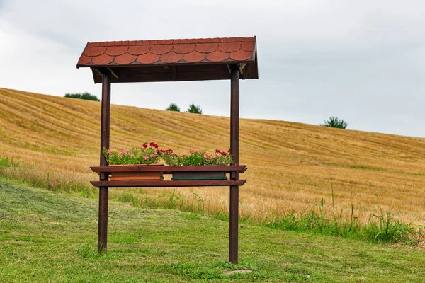 Slowenische schöne ländliche Sommerlandschaft mit Blumen — Stockfoto