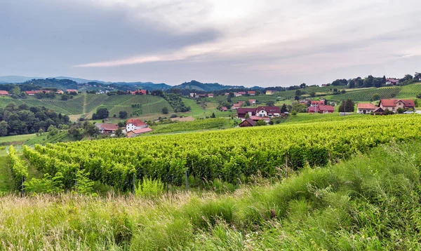 Letni słoweński krajobraz w pobliżu Mariboru, Słowenia. — Zdjęcie stockowe