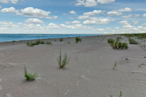 Wild Beach Landscape Prymorske Ukraine Black Sea Close Danube Delta — Stock Photo, Image