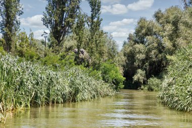 Tuna Biyosfer, Ukrayna 'nın Vilkove kentindeki Belgorodske nehri yaz manzarasını rezerve eder. Karadeniz ve Tuna Deltası 'na Yakın.