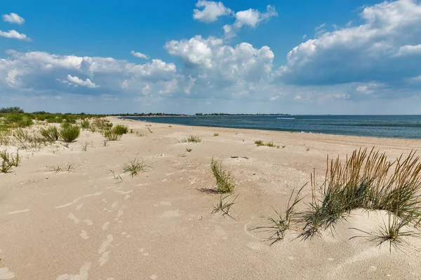 Wild Beach Landscape Prymorske Ukraine Black Sea Close Danube Delta — Stock Photo, Image