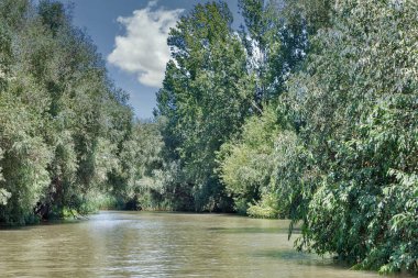 Tuna Biyosfer, Ukrayna 'nın Vilkove kentindeki Belgorodske nehri yaz manzarasını rezerve eder. Karadeniz ve Tuna Deltası 'na Yakın.