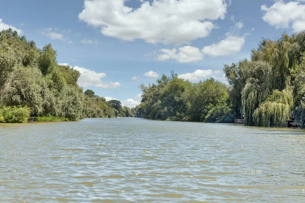 Danube Biosphere Reserve Ankudinovo River Summer Landscape Vilkove Ukraine Close — Stock Photo, Image