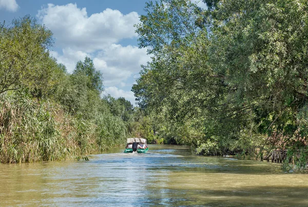 Tuna Biyosfer Ukrayna Nın Vilkove Kenti Yakınlarındaki Ankudinovo Nehri Yaz — Stok fotoğraf