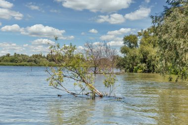 Tuna Nehri Biyosferi, Ukrayna Vilkove yakınlarındaki yaz arazisini rezerve ediyor..