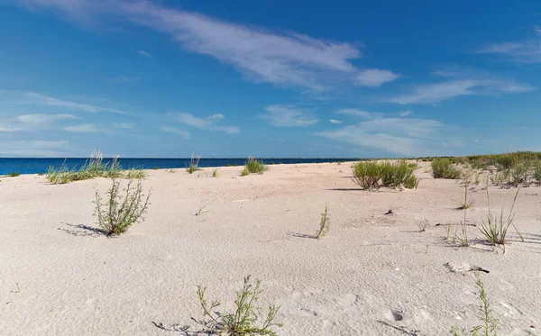 Paisaje Playa Salvaje Cerca Prymorske Ucrania Mar Negro Cerca Del — Foto de Stock