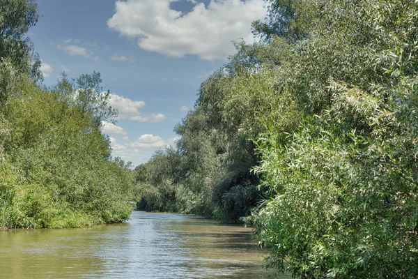 Tuna Biyosfer Ukrayna Nın Vilkove Kentindeki Belgorodske Nehri Yaz Manzarasını — Stok fotoğraf