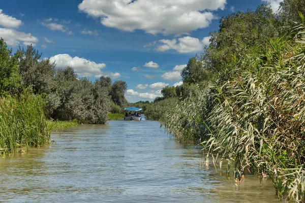 Donau Biosfeerreservaat Ankudinovo Rivier Zomer Landschap Buurt Van Vilkove Oekraïne — Stockfoto