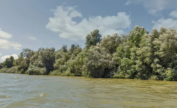 多瑙河上乌云密布 罗马尼亚和乌克兰在维尔科夫的国家边界 — 图库照片