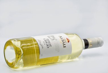 KYIV, UKRAINE - 22 AĞUSTOS 2020: Vina Albali Pinot Grigio 'nun stüdyo çekimi.
