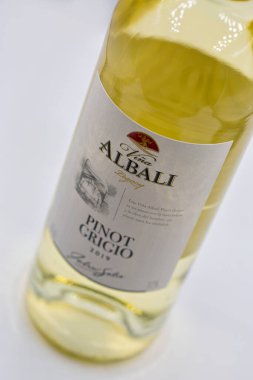 KYIV, UKRAINE - 22 AĞUSTOS 2020: Vina Albali Pinot Grigio 'nun stüdyo çekimi.