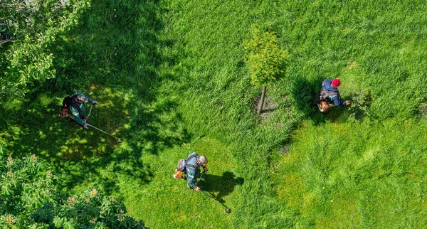 Zespół Pracowników Kosić Trawę Kosiarki Benzynowej Mieście Widok Góry — Zdjęcie stockowe