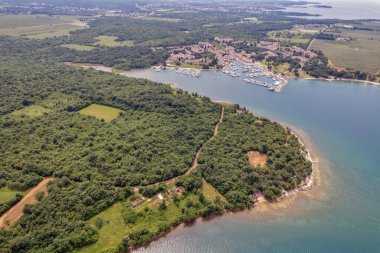 Hırvatistan 'ın İstria kentinde yeşil ağaçlar arasında turkuaz Adriyatik suyu, kayalık kıyı şeridi ve kervanlar bulunan Cervar-Porat sahil kulesinin insansız hava aracı görüntüsü.