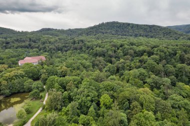 Gökyüzü bulutlu yeşil ormanlık tepelerin manzarası. Huzurlu doğal manzara seyahat, turizm ve doğa için idealdir. Chynadiieve, Ukrayna.