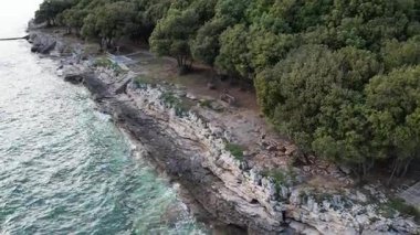 Hırvatistan 'ın Istria kentindeki kayalık bir günbatımı sahil şeridine ait hava aracı görüntüsü, kristal berrak turkuaz su, dalgalar, kıyıya doğru taş adımlar ve uçurumların üzerindeki yemyeşil orman..