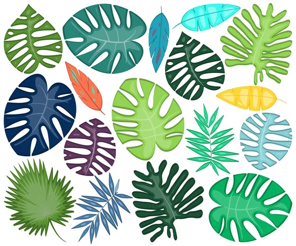 Vector Collection Bright Bold Tropical Leaves Stock Illustration