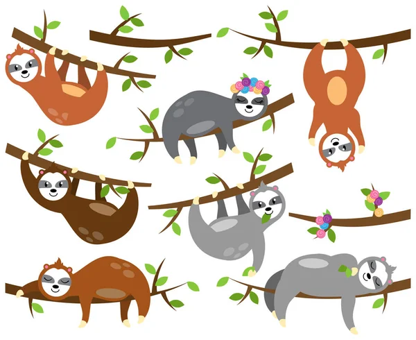 Vector Collection Cute Sloths Different Positions Babies — Stock Vector