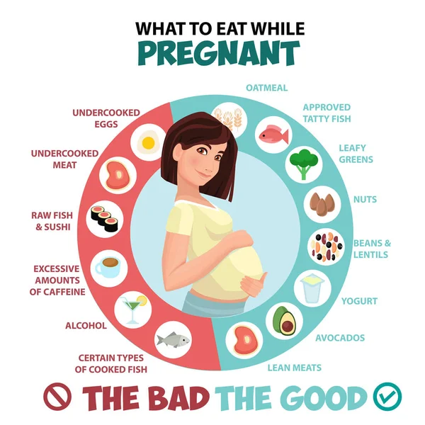 pregnancy-nutrition-infographic-elements-in-flat-design-vector