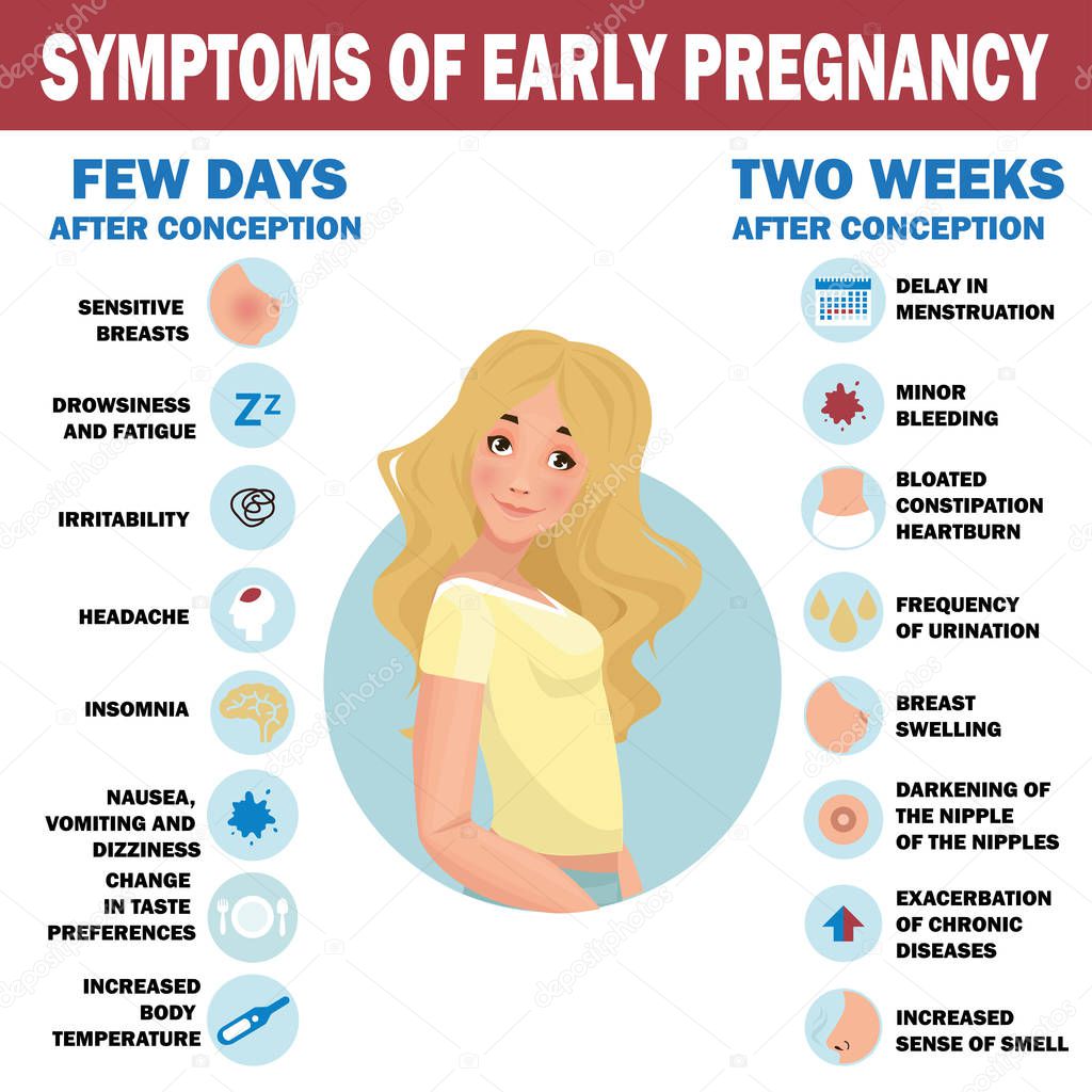 Symptoms Of Early Pregnancy Detailed Vector Infographic Human Health Premium Vector In Adobe Illustrator Ai Ai Format Encapsulated Postscript Eps Eps Format