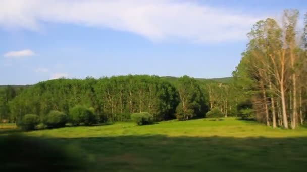 草地和树林的景观 夏季草修剪和打包收集 汽车旅行 — 图库视频影像
