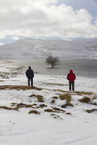 Двое Мужчин Смотрят Горный Снежный Пейзаж Болотной Водой Переднем Плане — стоковое фото