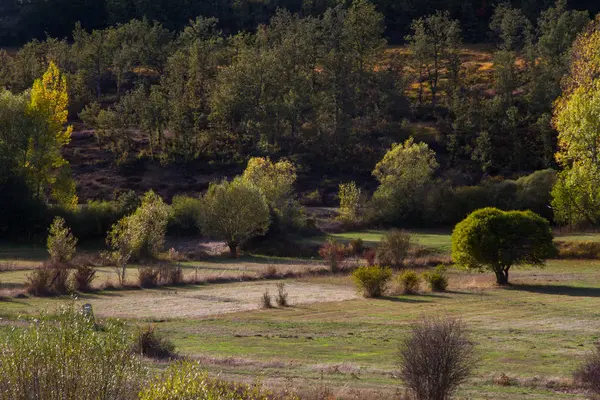 Krajina Trávou Pastvin Háje Dubový Les Podzim — Stock fotografie