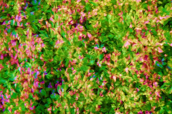 Hintergrund Mit Floralem Druck Alle Farben — Stockfoto