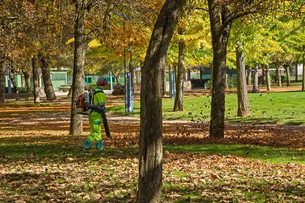 Садовник Машины Дует Осенние Листья Общественном Парке — стоковое фото