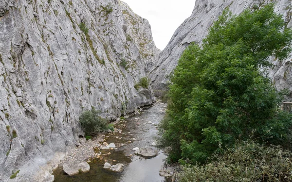 石の山々の間の狭い峡谷で 端に擁壁を持つ川と道路 ストックフォト