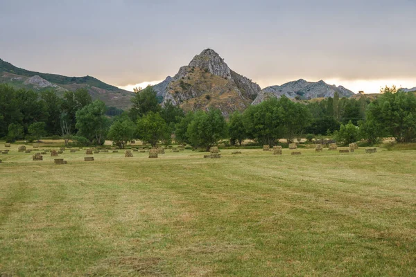 Sunset Mountain Scenery Plain Mown Grass Foreground Collection — Stock Photo, Image