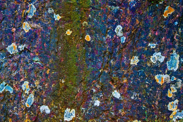 Textura Fondo Piedra Roca Con Musgos Líquenes Colores Saturados —  Fotos de Stock