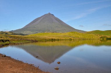 Aslan dişi Etkin Park