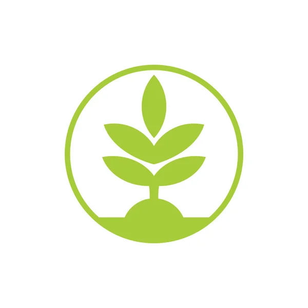 Vector simple geométrico verde planta círculo logotipo — Vector de stock