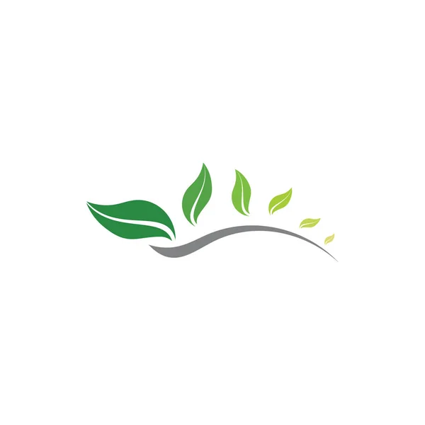 motion flying leaf logo vector