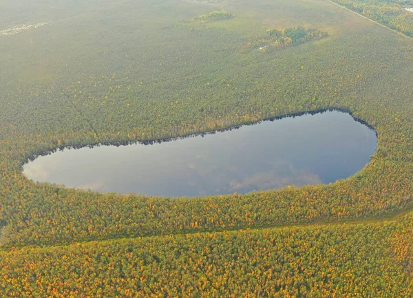 The dark blue surface of the taiga lake is surrounded by dark green forest. A view from a drone, a bird\'s-eye view. A view of the summer taiga without the presence of people in the daytime.
