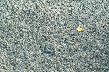 Düşmüş bir çarşafla beton yüzey. Sonbahar, beton, dokular.